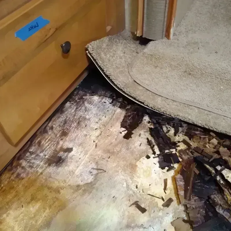 Wood Floor Water Damage in Pleasanton, KS